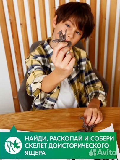 Игра для детей расскопай скелет динозавра