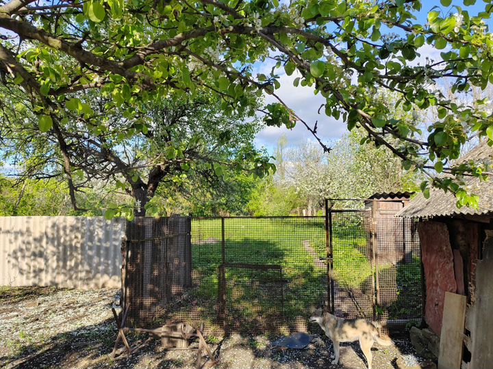 Дом 50 м² на участке 12 сот.