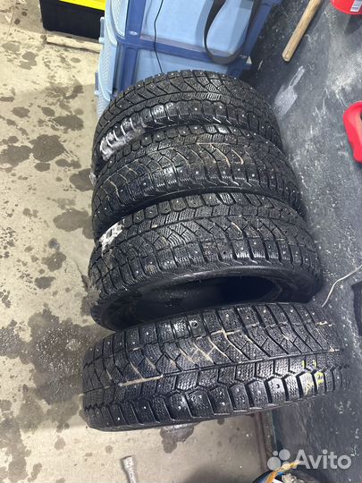 Viatti Brina 175/65 R14