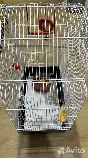 Клетка для птиц