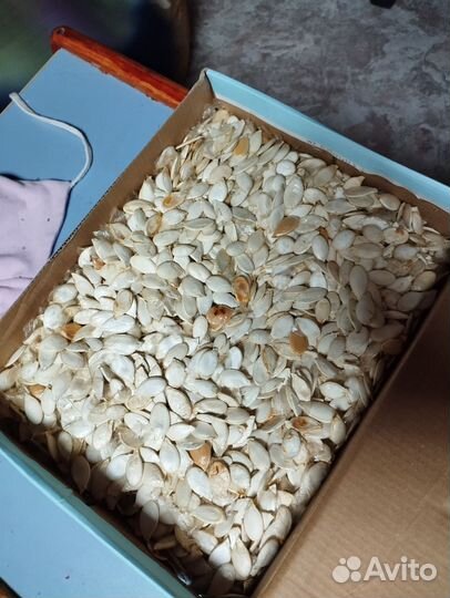 Тыквенные семечки домашние