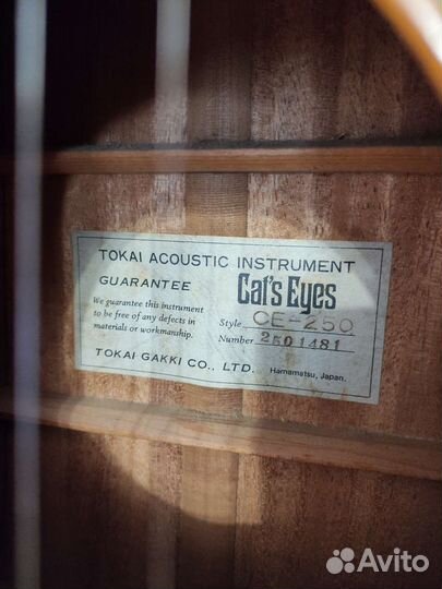 Акустическая Гитара Cats Eyes CE-250