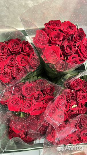 Роза опт и розница
