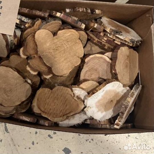 Спилы можжевельника