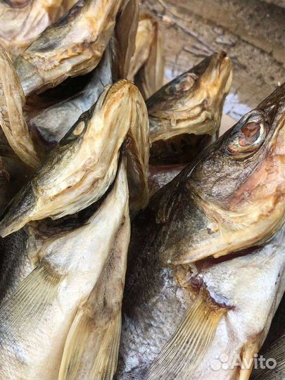 Рыбка Сушёная Судак