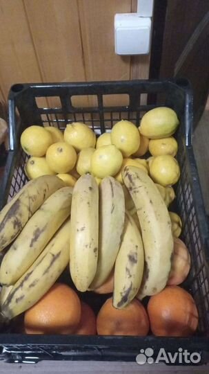 Корма для животных