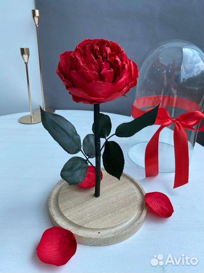 Вечная роза в колбе