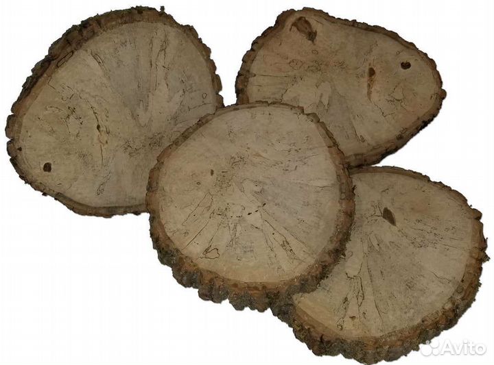 Большие спилы дерева. 35- 55 см