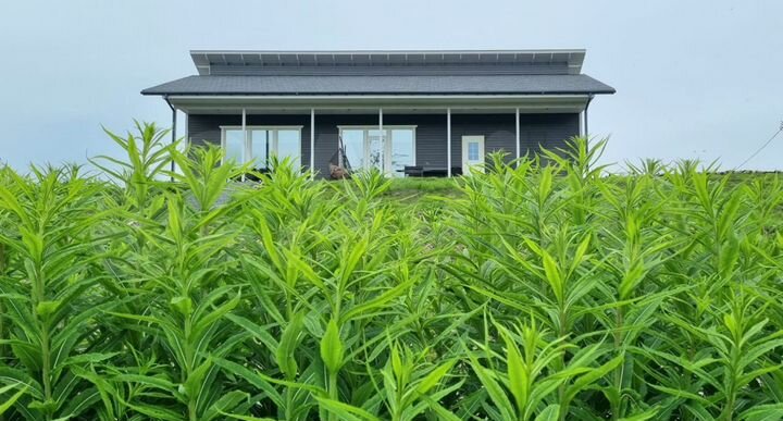 Коттедж 150 м² на участке 15 сот.