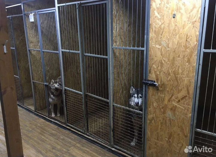 Уютная гостиница для животных 