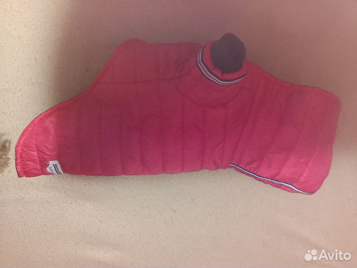 Куртка для собачки