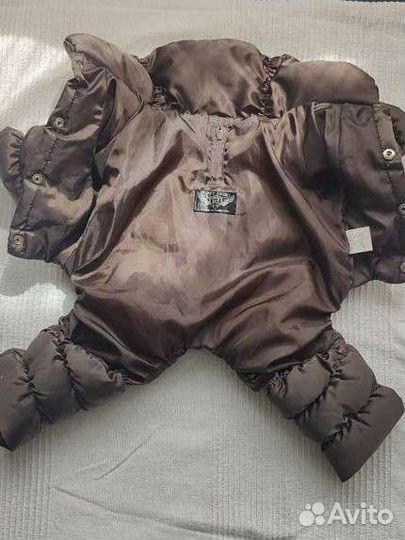 Зимний комбинезон M Puppy Angel Мальчик