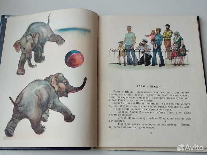 Рави и Шаши,Как снежок в Индию попал