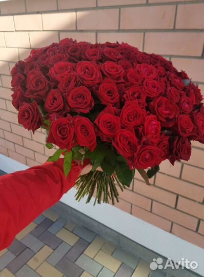 Розы, букет цветов 101 роза