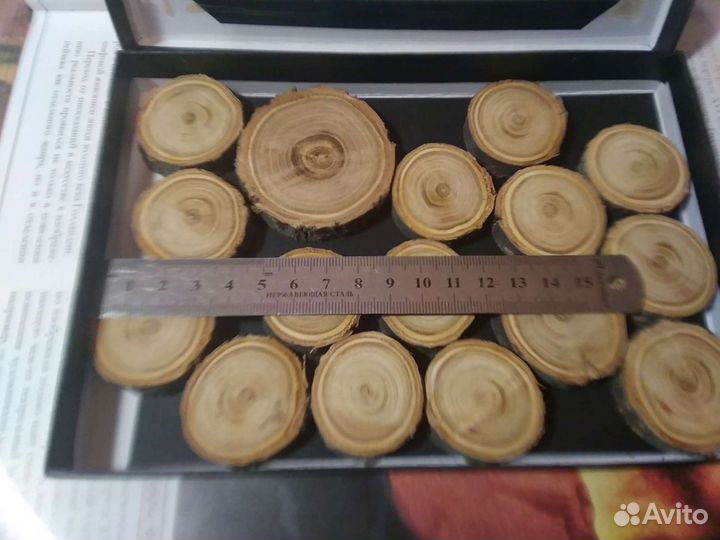 Спилы абрикоса торцевые