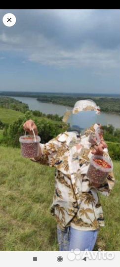 Клубника полевая