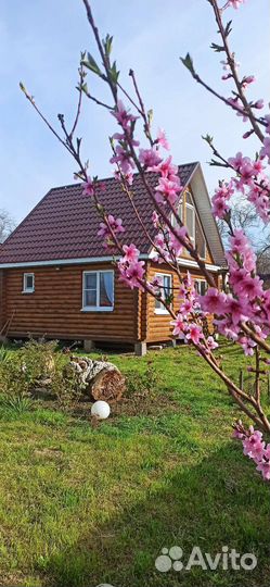 Отдых на Черном море от собственника