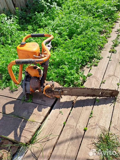 Пила Дружба