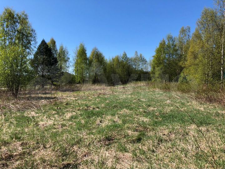 Участок 26,9 сот. (СНТ, ДНП)