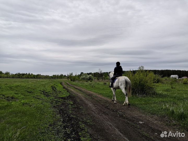 Верховая езда