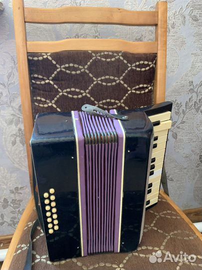 Аккордеон детский