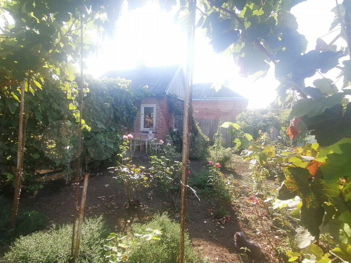 Дом 38,4 м² на участке 24,7 сот.