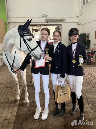 Верховая езда