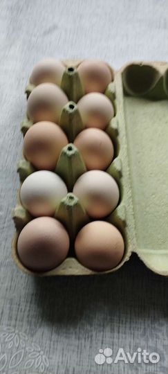 Молоко творог, яйца куриные
