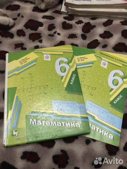 Школьные книги