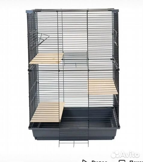 Шиншилла с клеткой