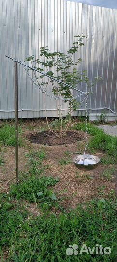 Тренога (одноногая) для костра