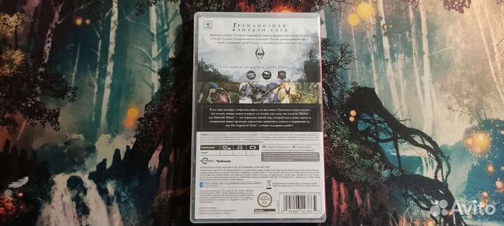 The elder scrolls 5 skyrim Nintendo switch