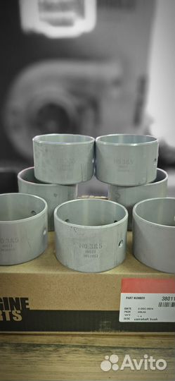 Вкладыши распредвала Cum N14 (к-т на двиг. ) /3801