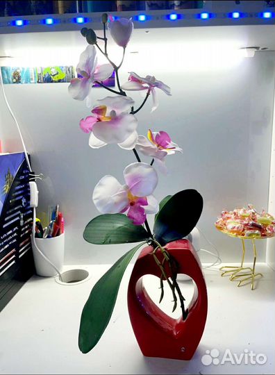 Подарок к дню влюбленных