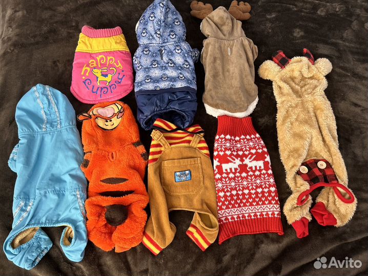 Одежда для маленьких собак