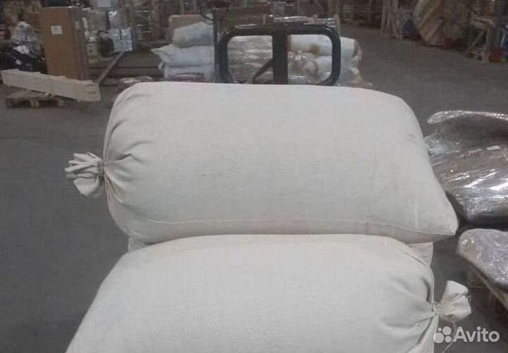 Семена сосны обыкновенной