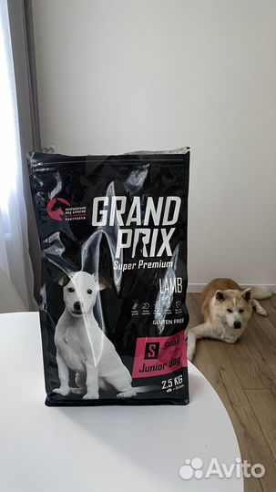 Корм для собак