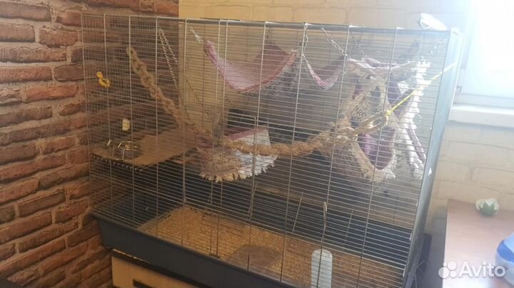 Крыска с клеткой