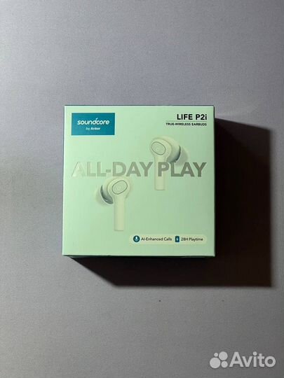 Anker Soundcore Life P2i