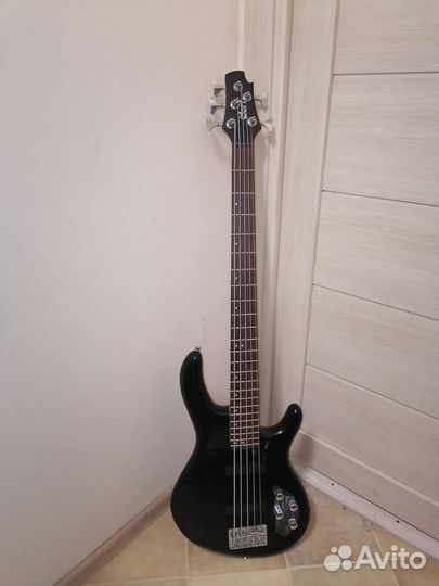 Басс гитара 5 струн