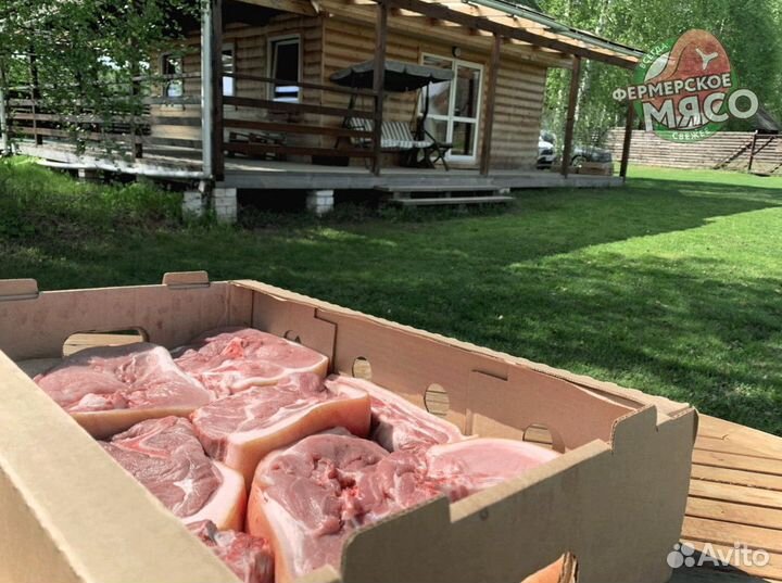 Мясо свинина