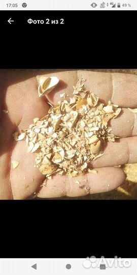 Ракушка не каспийская,речная,чистая