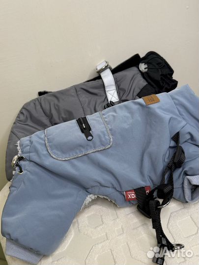 Теплый костюм для собак