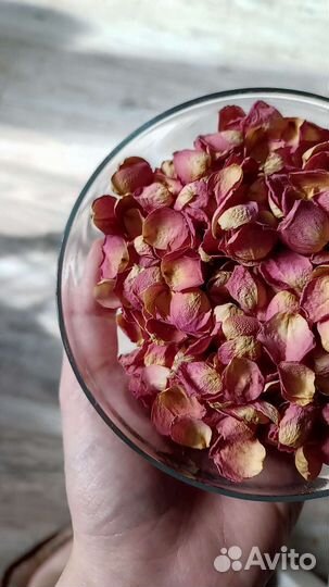 Сухоцветы лепестки роз