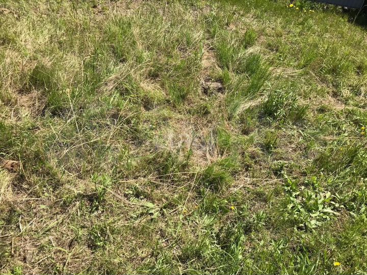 Участок 15,4 сот. (личное подсобное хозяйство (лпх))