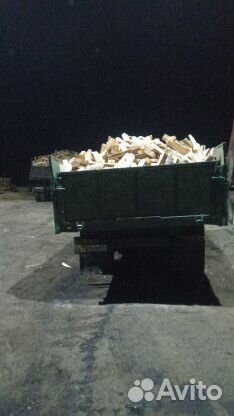 Береза колотая