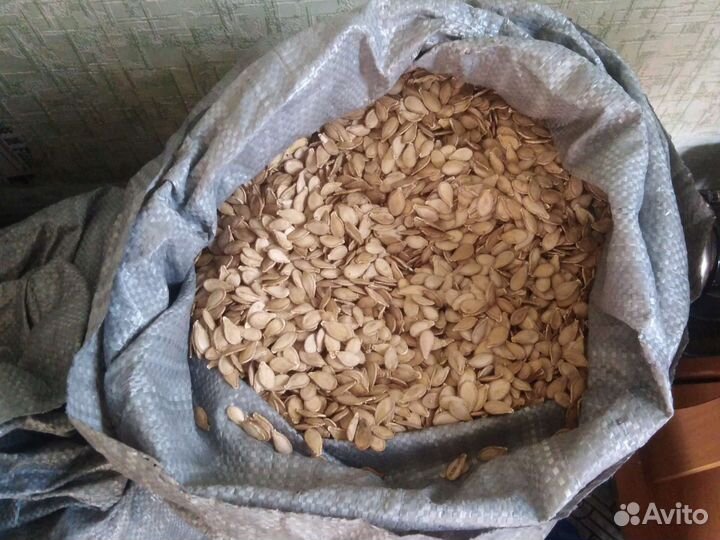 Семена тыквы