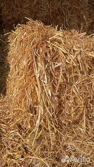 Сено разнотравье