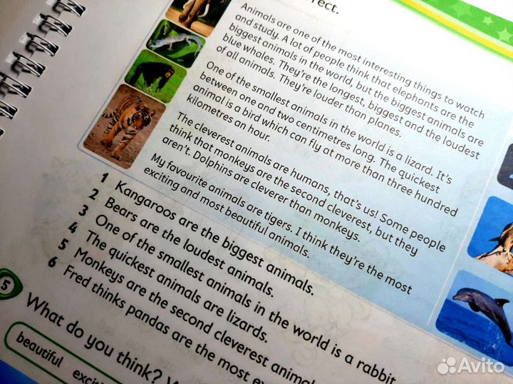 Kids box 4. Pupils book and activity book