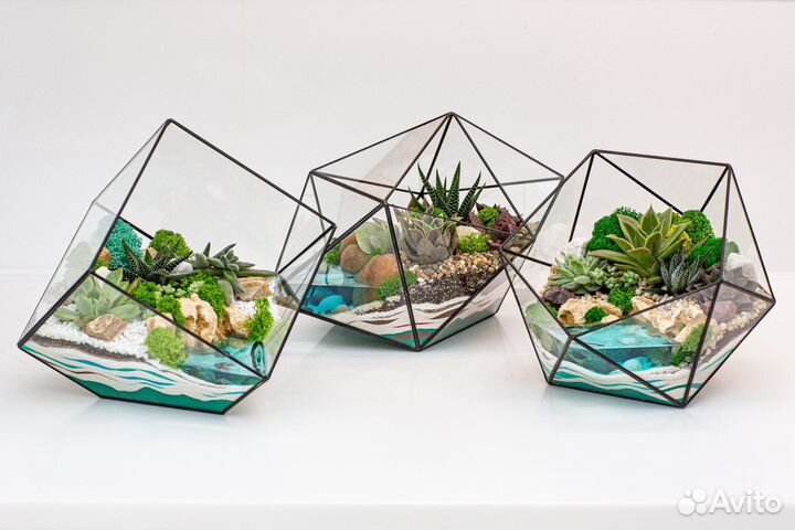 Флорариумы на заказ и в наличии